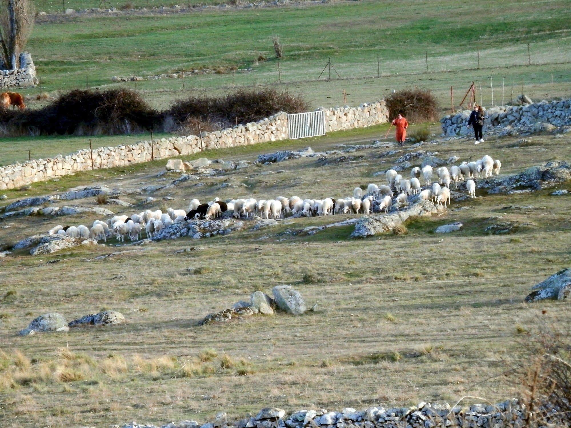 Casa Rural El Dolmen Bernuy-Salinero Екстер'єр фото